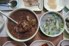 [여행] 바닷마을의 봄날은 어제처럼 평온합니다