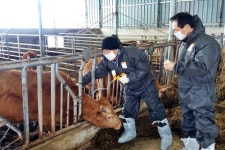 전북도, 구제역 발생 78일만에 정읍 산내 축산농가 재입식 허용