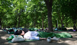 [포토] 숲 속 꿀잠