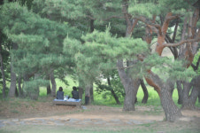 [여행] 1500년 변치 않는 따뜻한 위로
