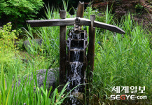 시원한 물레방아, 불볕더위를 잠시나마···