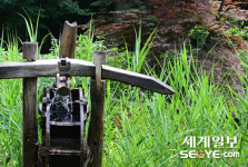 물레방아가 돌아가는 풀숲