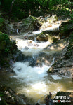 장맛비에 제모습을 찾은 계곡