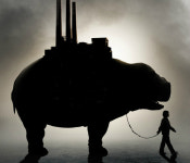 [연중기획 - 지구의 미래] 육식이 만든 GM동물… 옥자가 식탁에 오른다면