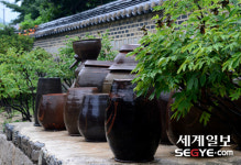 [사진in세상] 처마 끝 빗방울 뚝뚝···시간이 멈춘 남산한옥마을