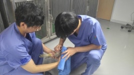 다치고 병든 야생동물들의 쉼터 ‘자리매김’