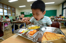 살충제 계란으로 학교급식도 비상…서울시 교육청, 계란급식 금지