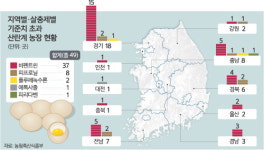 ‘난각코드’ 없는 달걀도 시중에 유통