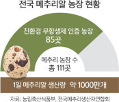 [이슈플러스] 메추리알은 괜찮아요?…달걀 대체품 찾기 나선 소비자