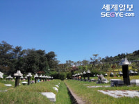 [김기자와 만납시다] 부모의 묘는 자식이 의지할 물리적 공간…죽으면 어디로 갈까 ①