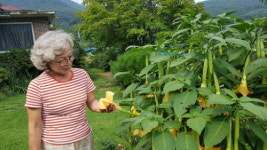 [차 한잔 나누며] “풀내음 가득한 야생화 마을… 힐링의 꽃밭입니다”