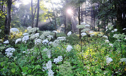 [여행] 파란 하늘 닿을 듯… 선선한 바람 잡힐 듯