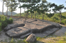 [여행] 사람 좋은 촌부처럼… 천년의 세월 묵묵히 견뎠다