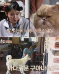 야옹야옹…아이유 팬미팅에 효리네 민박 미미가 보낸 화환