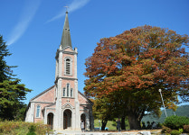 [여행] 神林… 마을을 지켜주는 신성한 숲, 1년에 단 두번 열린다