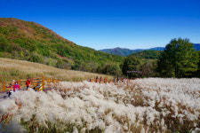 [여행] 단 한 번 이 풍경… 이 가을, 어디로 갈까