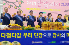 농협, 다정다감 단감으로 감사의 마음을 전하세요!