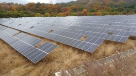 [단독] 부여 이장, 태양광업체서 ‘마을도로 이용료 3500만원’ 받았다가 일부 토해내