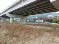 일방 폐쇄 반발 산 장애인 론볼경기장 연내 재설치