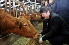 ‘비자금 제보’ 진실공방 … 安은 “그래도 통합”
