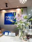 철저히 개인 맞춤 일대일영어회화 시스템 구축, '강남영어학원 퍼스널잉글리쉬'