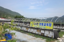 도시에서도 양봉 체험하세요!