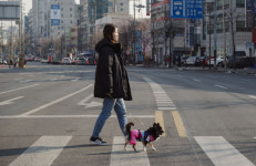 [무술년, 행복하개] 세상과 나를 잇는 너는 내 운명… 너와 가족이 된 나는 네 반쪽