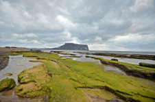 [여행] 바람 부는 대로 달렸다, 숨어 있던 너를 만났다