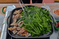 [여행] 울렁대는 춘심… 오호, 봄이로구나