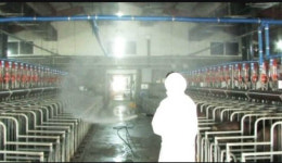 김포의 돼지농장 구제역 양성반응…이 총리 가용자원 총동원 방역 지시