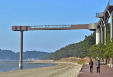 [여행] 동백 꽃망울 ‘톡톡’… 알배기 주꾸미 ‘톡톡’… 봄 맛 ‘톡톡’