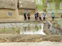 [한국사의 안뜰] 먼 타국 땅에서도 꺾이지 않은 ‘민족교육의 열망’