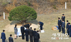 [포토] 기념 식수하는 남과북