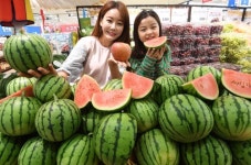 [포토] 롯데마트, 미니수박 출시