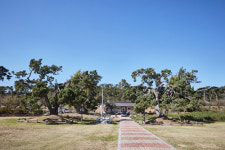 송곡서원 향나무 2그루 천연기념물 됐다