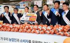 [포토] 농협 하나로마트 양파 할인판매