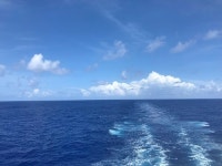 [박윤정의 원더풀 남태평양] 바다 위, 여유 만끽하다