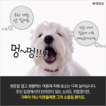 [카드뉴스]우리 개는 안 짖어요… 여름철 더 심해지는 층견(犬)소음