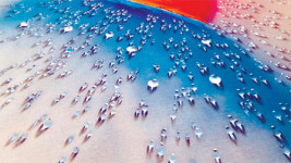 [편완식이 만난사람] “우주는 내 운명”… 캔버스 안에 고스란히 담은 ‘근원의 빛’