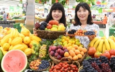 [포토] 농협하나로마트 양재점, 여름 제철 보양식 과일 대전