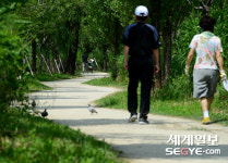 [사진in세상] 하늘을 보며 가로수 길을 걸어요