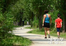 [사진in세상] 하늘을 보며 가로수 길을 걸어요