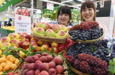 [포토] 농협하나로마트 여름 제철 과일 할인 판매