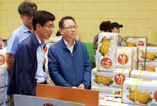 [포토] 농협 김원석 농업경제대표이사, 부산권역 공판장 수급동향 점검