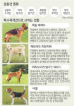 [S스토리] 500m까지 ‘킁킁’… 집념의 견공, 50명 몫 해낸다