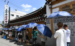 [포토] 삼계탕집 앞 우산행렬