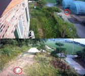 들개가 가방 절도범…수사 벌인 경찰 헛웃음