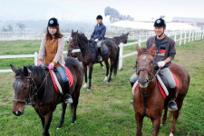 새만금사업지에 대규모 승마관광단지 들어선다