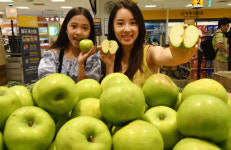 [포토] 초록사과 싸게 드세요∼