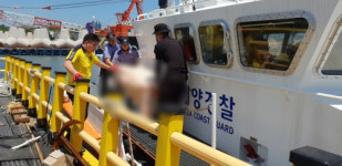제주 실종 여성 부검… “타살 의심할 외상 없다”